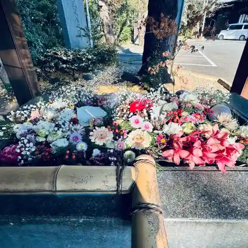狭山八幡神社(埼玉県)