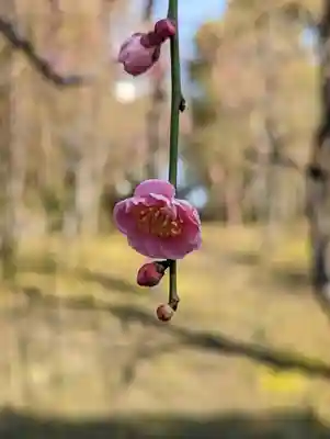 城南宮(京都府)