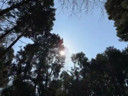 出雲大神宮の自然