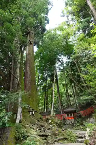 貴船神社(京都府)