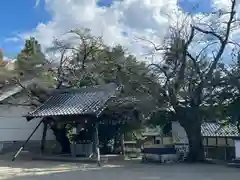 加佐美神社(岐阜県)