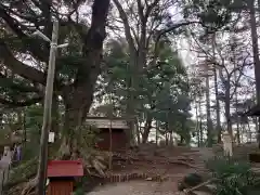 塚崎神明社の建物その他