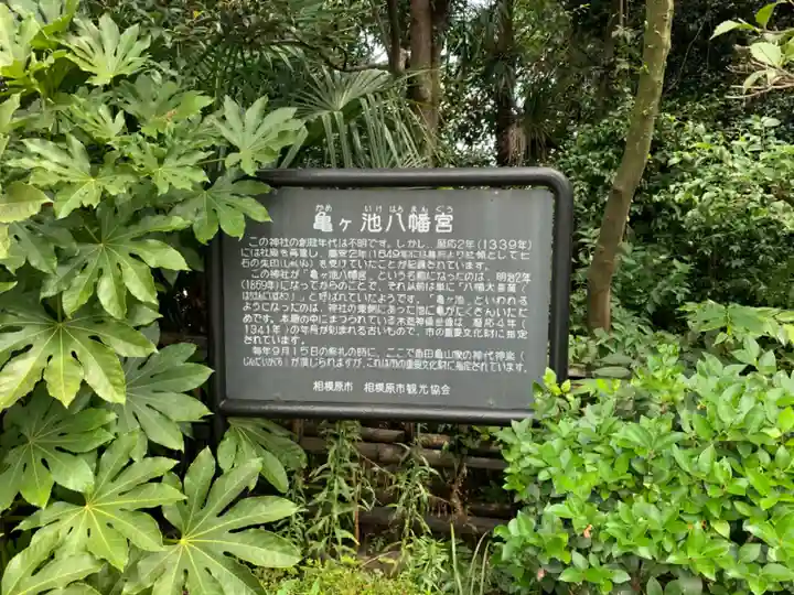 亀ケ池八幡宮のその他建物