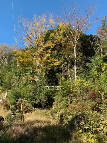 神社（名称不明）の景色