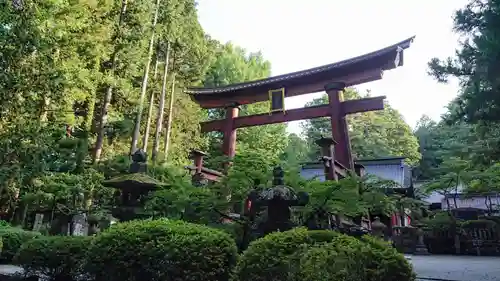 北口本宮冨士浅間神社の鳥居