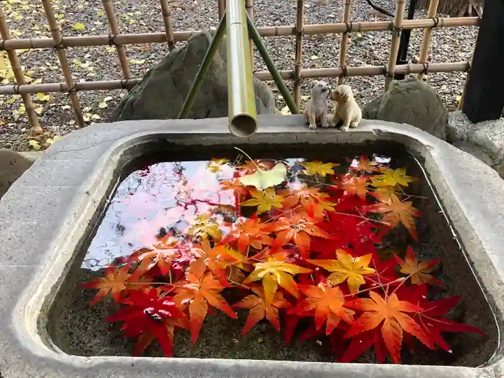 武甕槌神社の手水舎