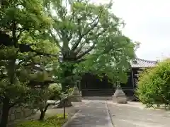 本伝寺の建物その他