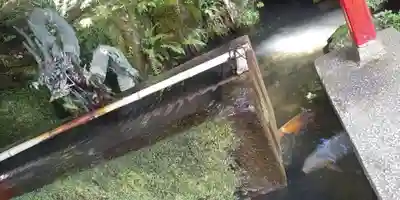 石山寺の手水舎