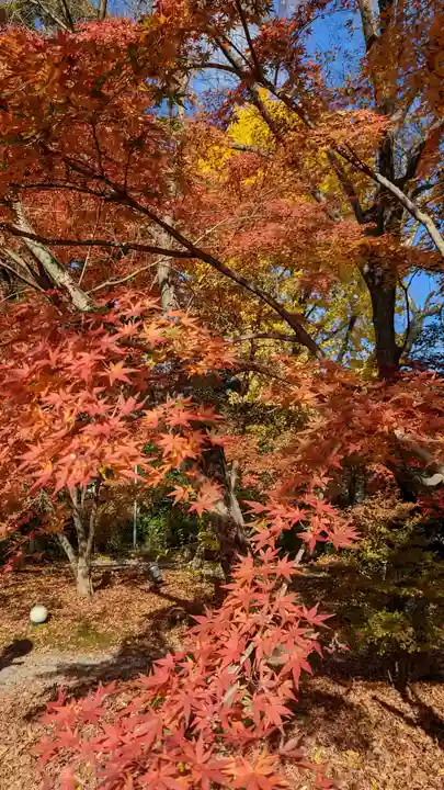 長岡天満宮(京都府)