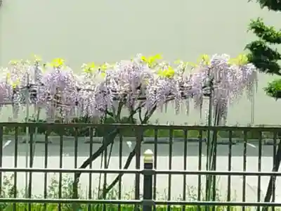 了徳院(大阪府)