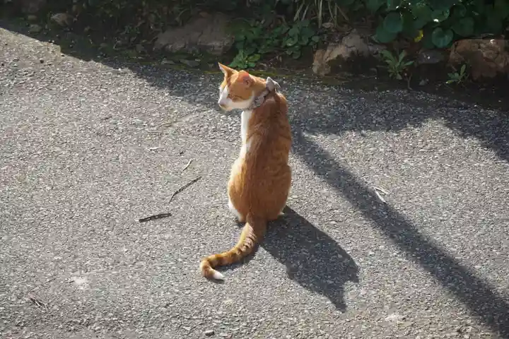 唐澤山神社の動物