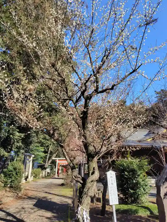 北野天神社(埼玉県)