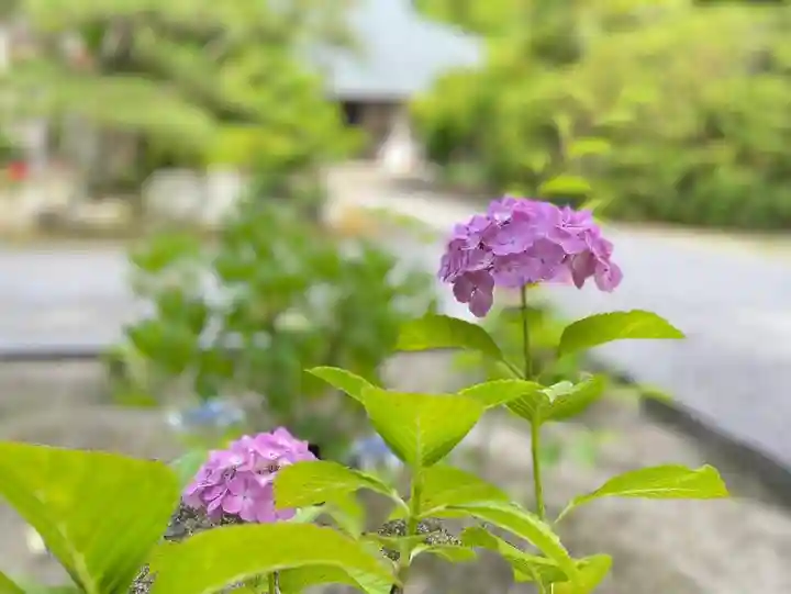 伊勢の国 四天王寺(三重県)