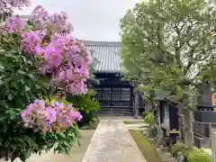 大泉寺(東京都)