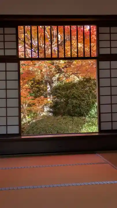 源光庵(京都府)