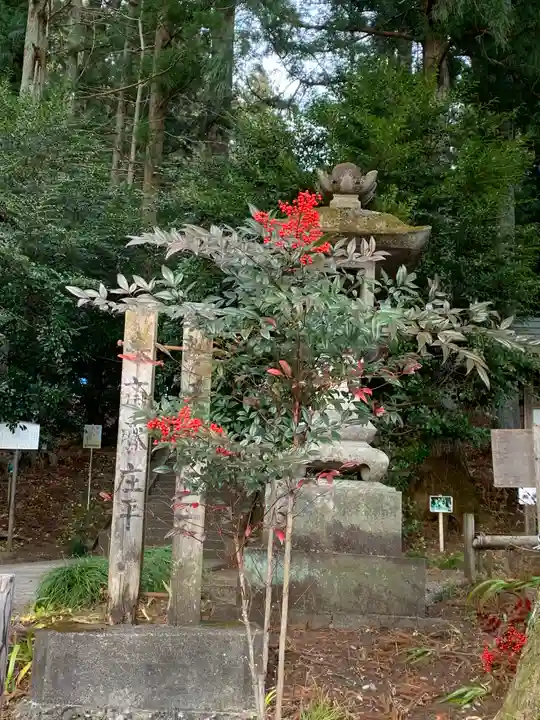 岩戸別神社の自然