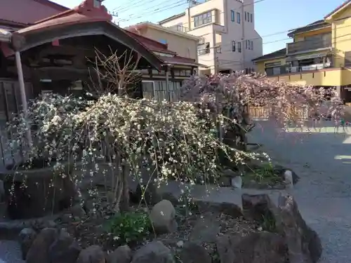 妙法寺（山崎）(神奈川県)