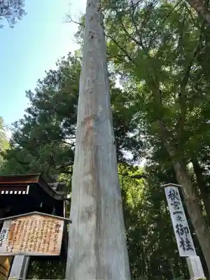 諏訪大社下社秋宮(長野県)