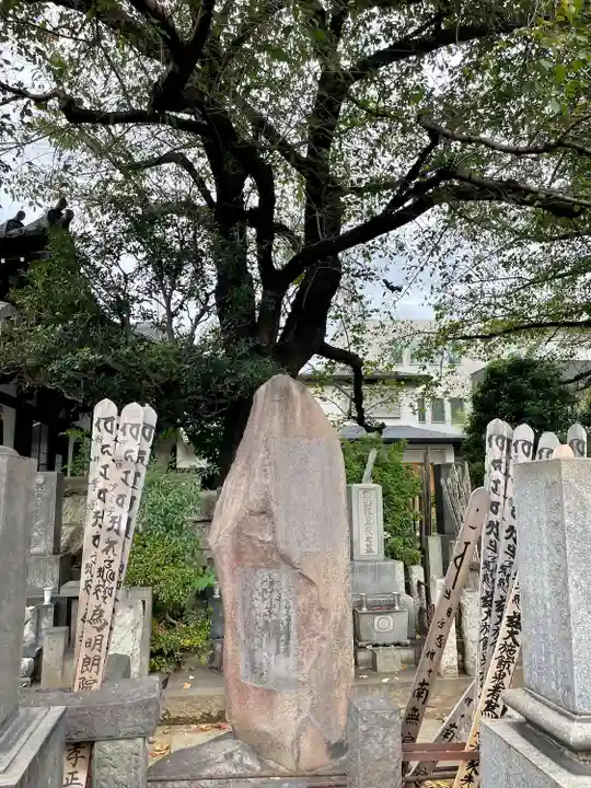 多宝院(東京都)