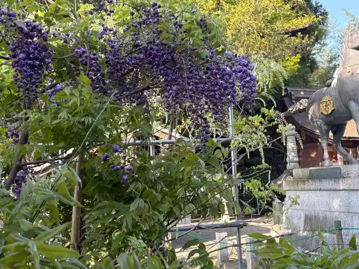 志那神社の{uncategorized: "未分類", other: "その他", undefined: "問題あり", building: "その他建物", grave: "お墓", sacred_gate: "鳥居", guardian: "狛犬", statue: "像", buddha: "仏像", history: "歴史", nature: "自然", garden: "庭園", animal: "動物", pagoda: "塔", temizu: "手水舎", mountain_gate: "山門・神門", sanctuary: "本殿・本堂", subordinate: "末社・摂社", art: "芸術", scenery: "景色", jizo: "地蔵", ema: "絵馬", goshuin: "御朱印", omikuji: "おみくじ", items: "授与品その他", amulet: "お守り", goshuincho: "御朱印帳", eats: "食事", festival: "お祭り", votive_dance: "神楽", shichigosan: "七五三参", wedding: "結婚式", experience: "体験その他", initially: "初詣", around: "周辺", anti_infection: "感染症対策"}
