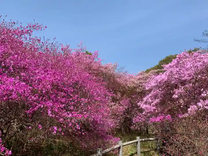 廣田神社の自然