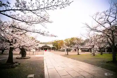 大阪護國神社(大阪府)