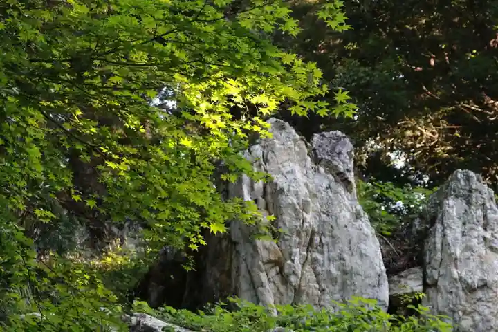 鹿島大神宮の自然