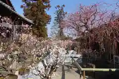 菅原天満宮（菅原神社）(奈良県)