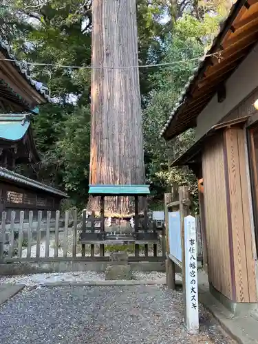 事任八幡宮(静岡県)