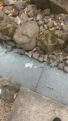 大國魂神社の御朱印