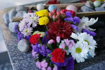 滑川神社 - 仕事と子どもの守り神の手水舎