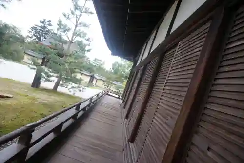 大覚寺(京都府)