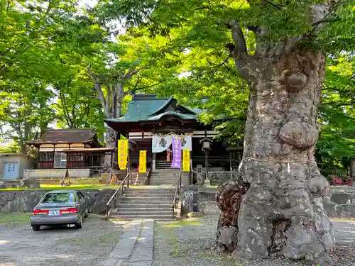 妻科神社のその他建物