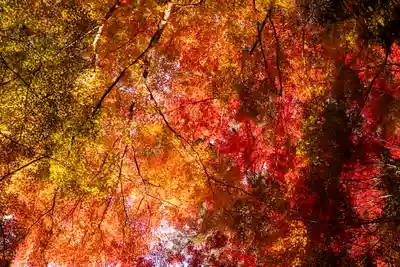 大矢田神社(岐阜県)