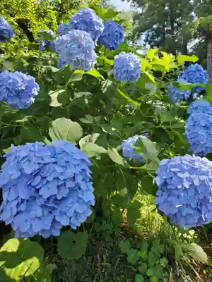 赤城神社(群馬県)
