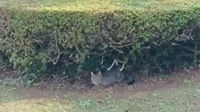 蓮華寺(静岡県)