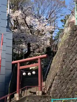 上目黒氷川神社の鳥居