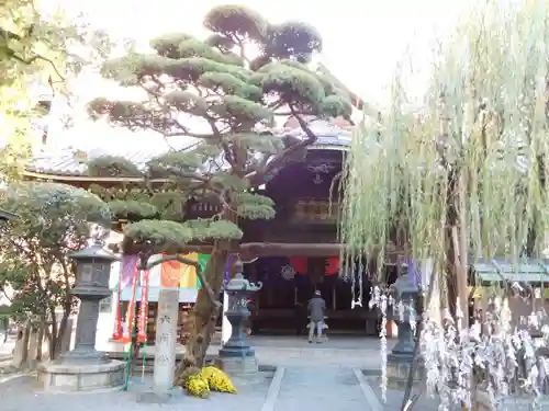 頂法寺（六角堂）の本殿・本堂
