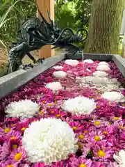 下野 星宮神社の手水