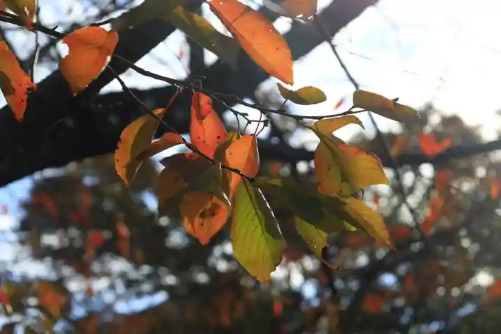 元興寺(奈良県)