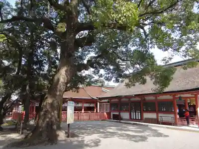 津島神社(愛知県)