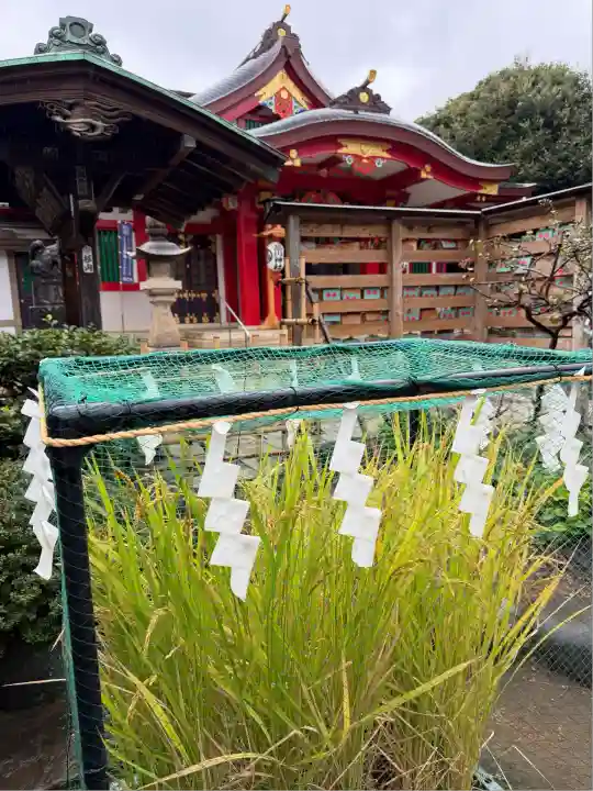 品川神社(東京都)