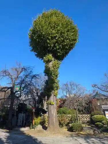 芳林寺(埼玉県)