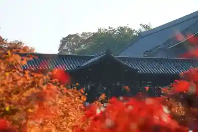 東福禅寺(東福寺)(京都府)