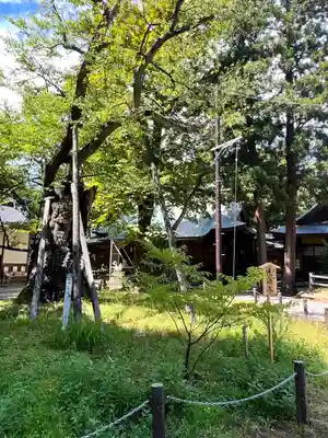 蠶養國神社(福島県)