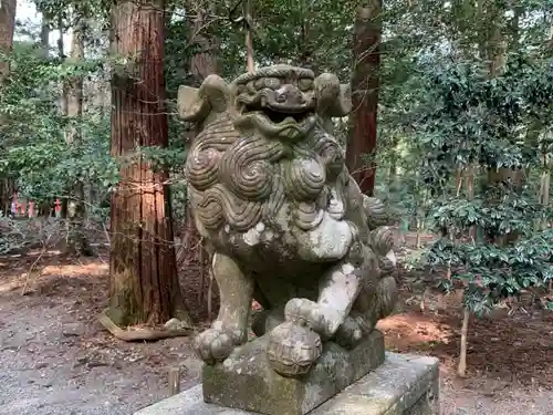 椿大神社の狛犬