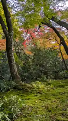 神護寺(京都府)