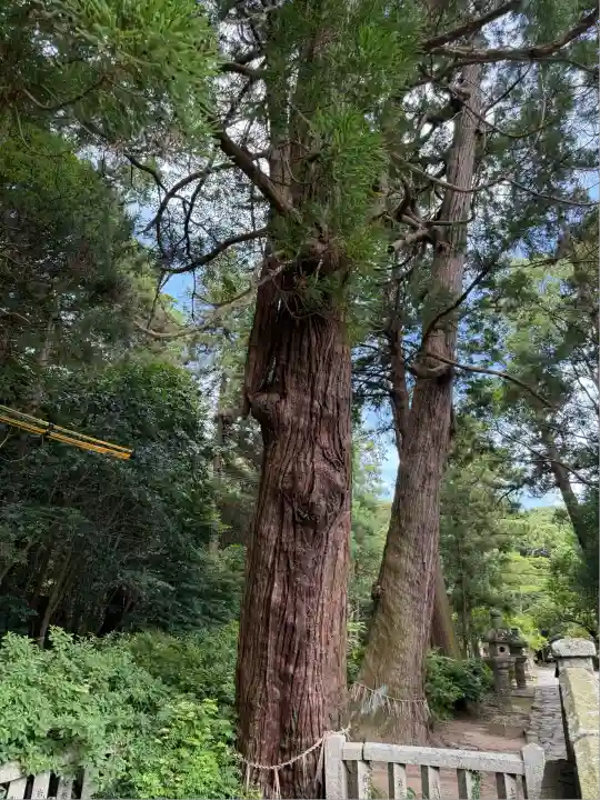櫻井神社(福岡県)