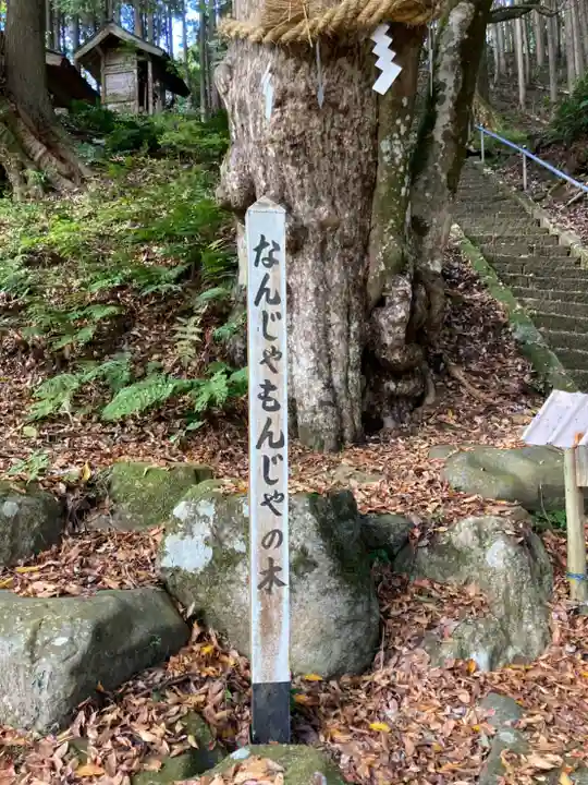徳神社の自然