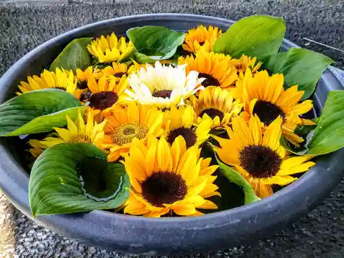 鹿島台神社の手水舎
